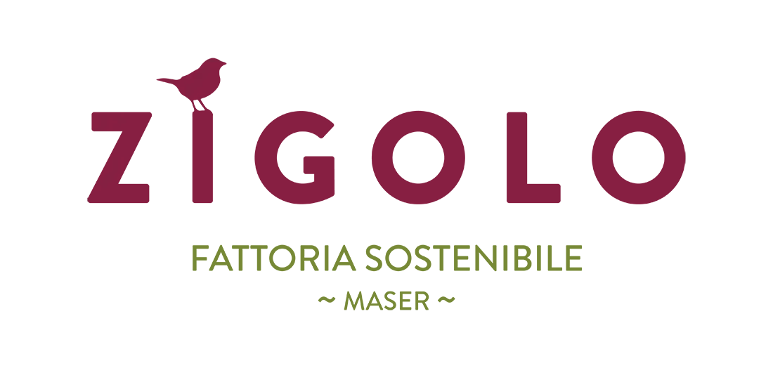 AZIENDA AGRICOLA ZIGOLO                                         di Costa Anna