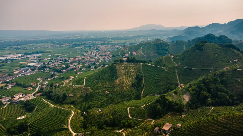 Veduta aerea delle colline di Valdobbiadene con vigneti ordinati, strade bianche che serpeggiano tra le pendici verdi e un borgo che si estende nella pianura, immerso in un’atmosfera morbida e nebbiosa.