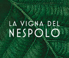 LA VIGNA DEL NESPOLO                                              di Luisa Bortolomiol