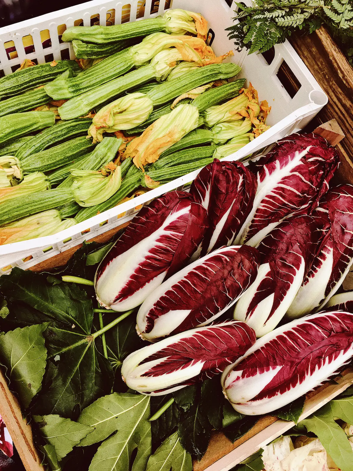 Cassetta di zucchine con fiore e radicchi rossi di Treviso esposti in un mercato, adagiati su foglie verdi, simbolo di freschezza, stagionalità e tradizione agricola veneta.