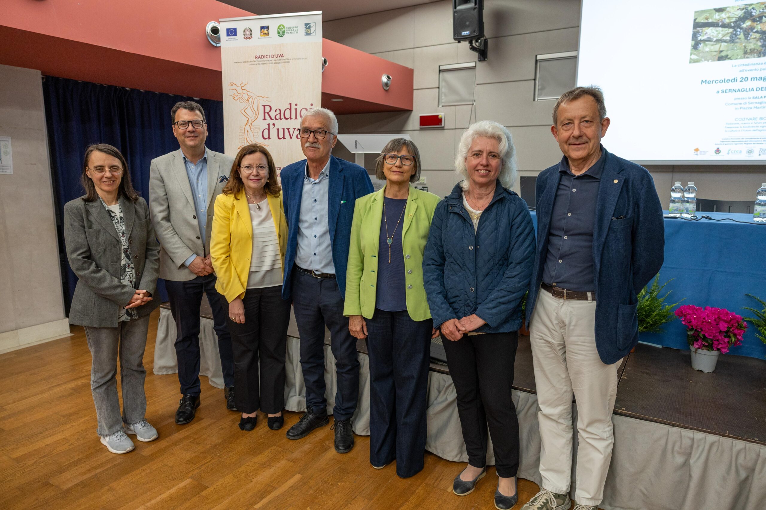 Radici d'Uva vitigni storici trevigiani